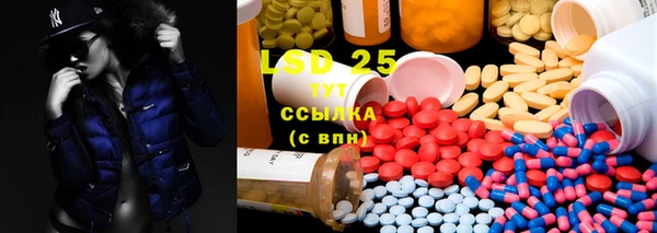 стафф Заводоуковск