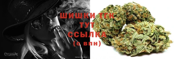 стафф Заводоуковск