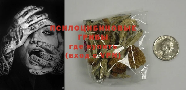 стафф Заводоуковск