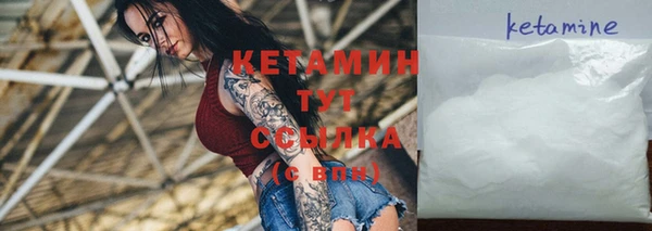 стафф Заводоуковск