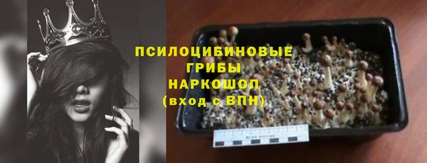 стафф Заводоуковск