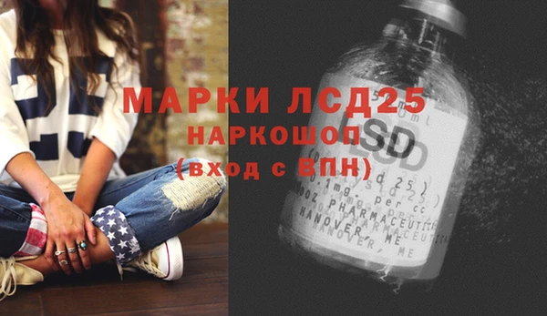 мдпв Инсар