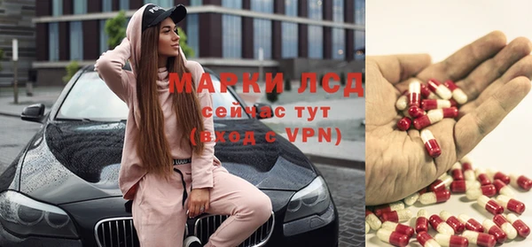 стафф Заводоуковск
