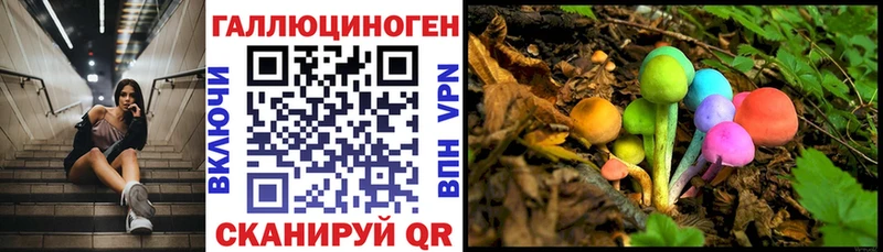 Галлюциногенные грибы GOLDEN TEACHER Купить где Колпашево